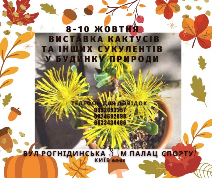 изображение_viber_2021-09-29_13-48-37-911.jpg