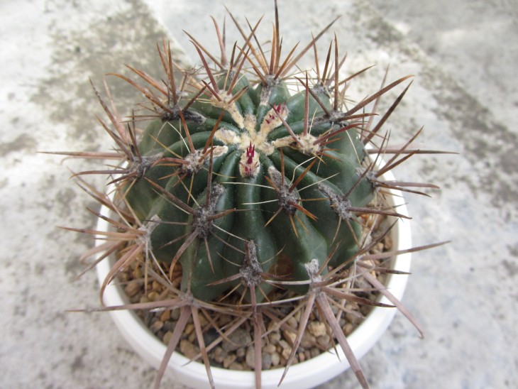 03