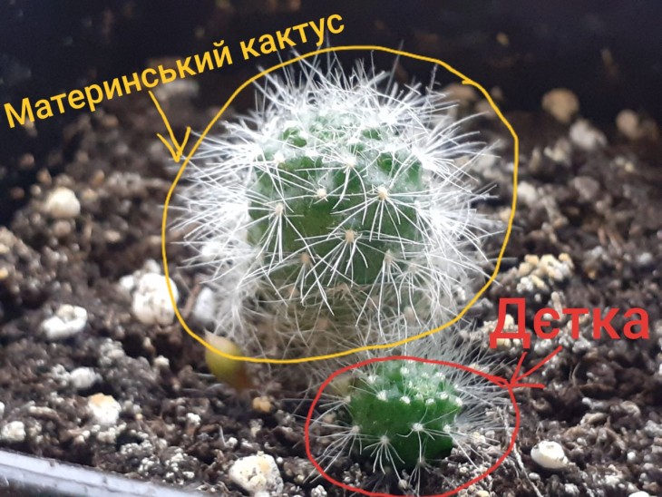 Було (квітень 2023)