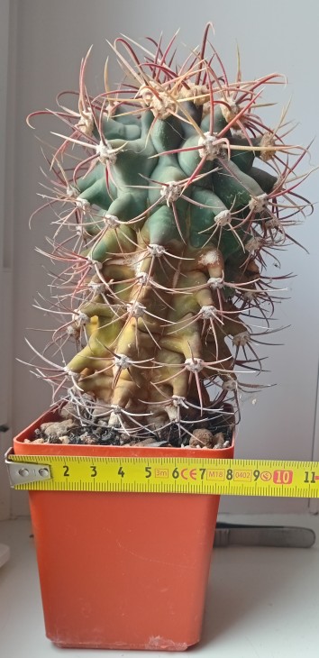 20250329_080542.jpg