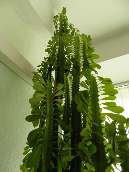 DSCN1832.JPG
