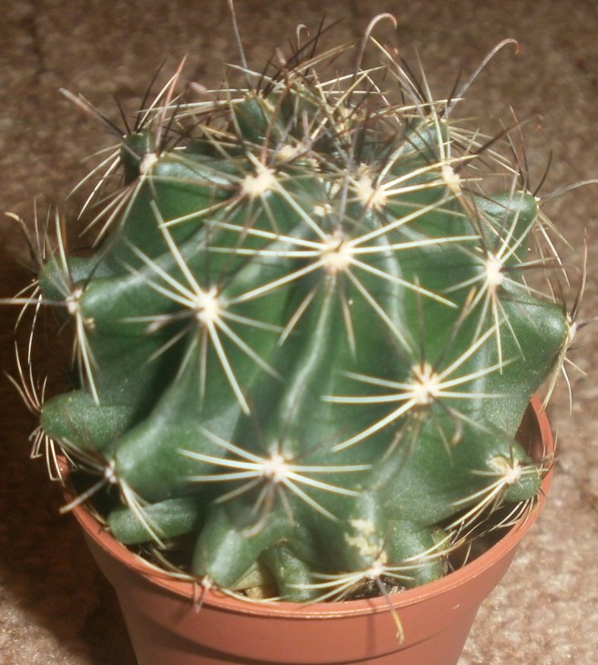 PB140137.JPG