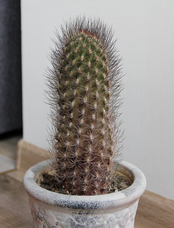 №4