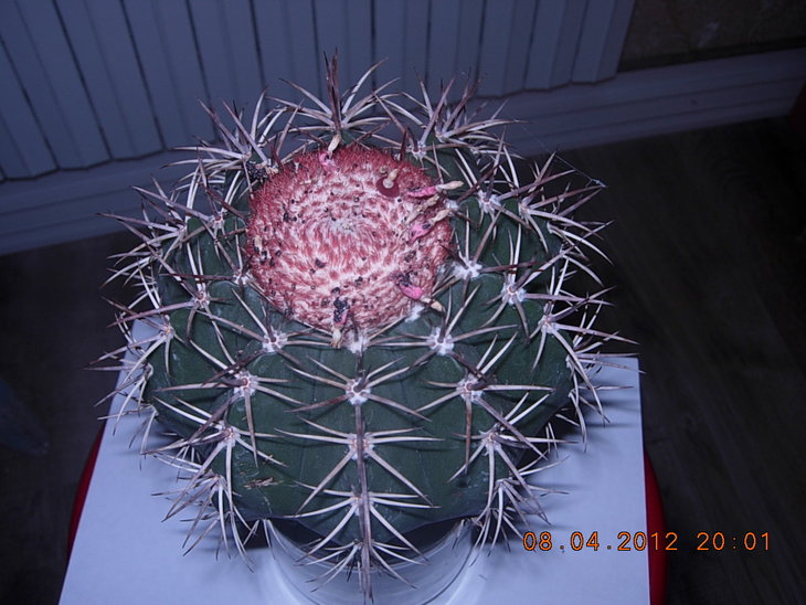 DSCN2367.JPG