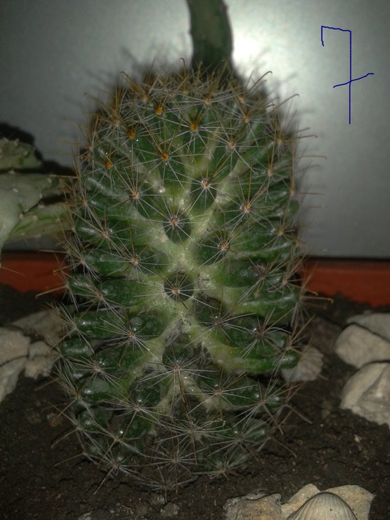 2012-03-04 15.27.46.jpg