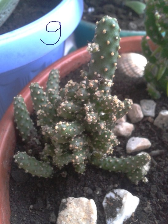 2012-03-04 15.20.23.jpg