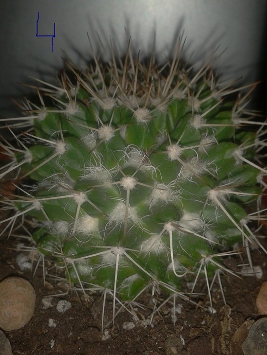 2012-03-24 20.30.14.jpg