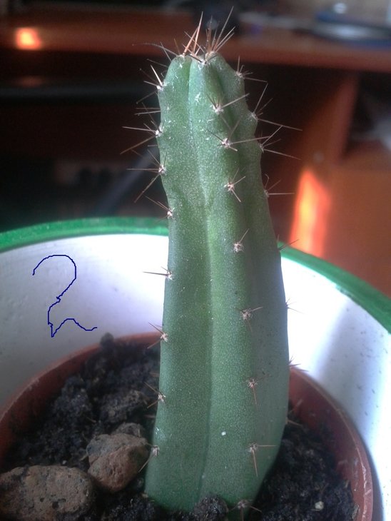 2012-03-25 10.35.13.jpg