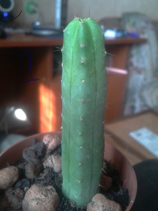 2012-03-25 10.36.04.jpg