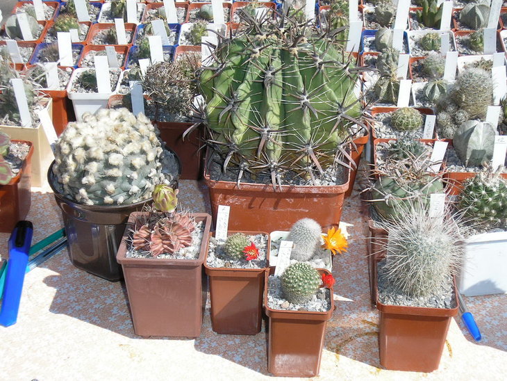 10.06.06-3.jpg