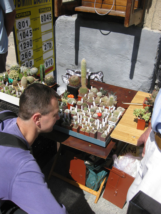 IMG_1837.jpg