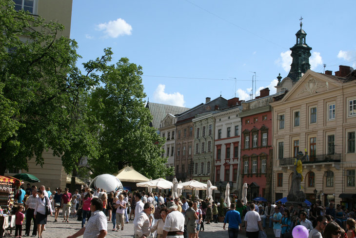Vira kaktusu2012traven 099.jpg