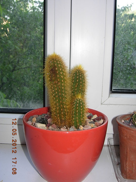 №4