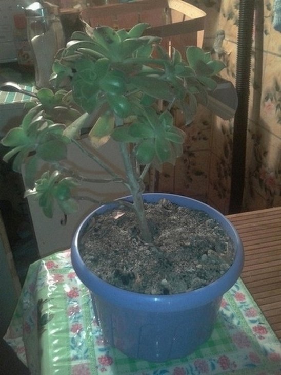 2012-06-04 02.33.57.jpg