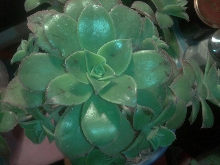 2012-06-04 02.36.25.jpg