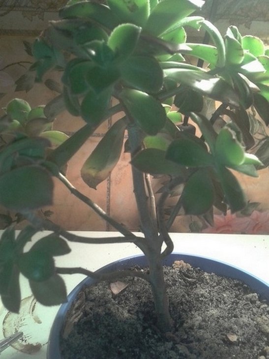 2012-06-04 02.37.26.jpg