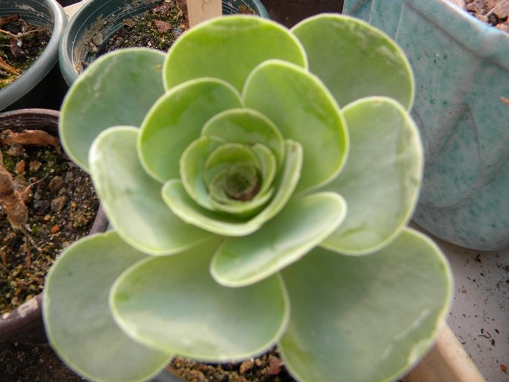 DSCN5492.JPG