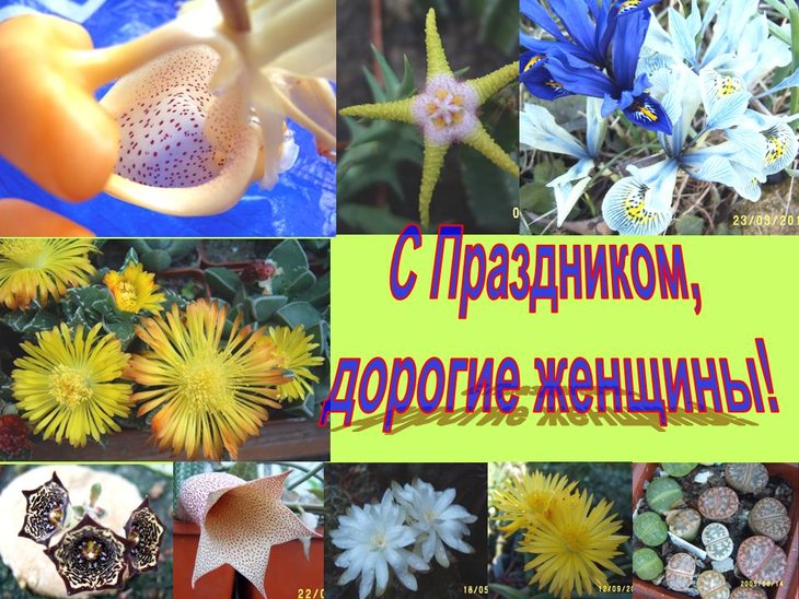 С Праздником 8 Марта!.jpg