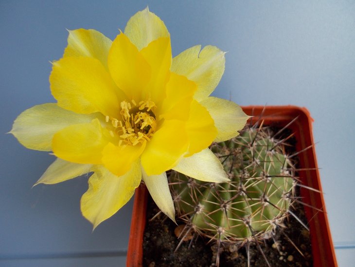 DSCN1653.JPG