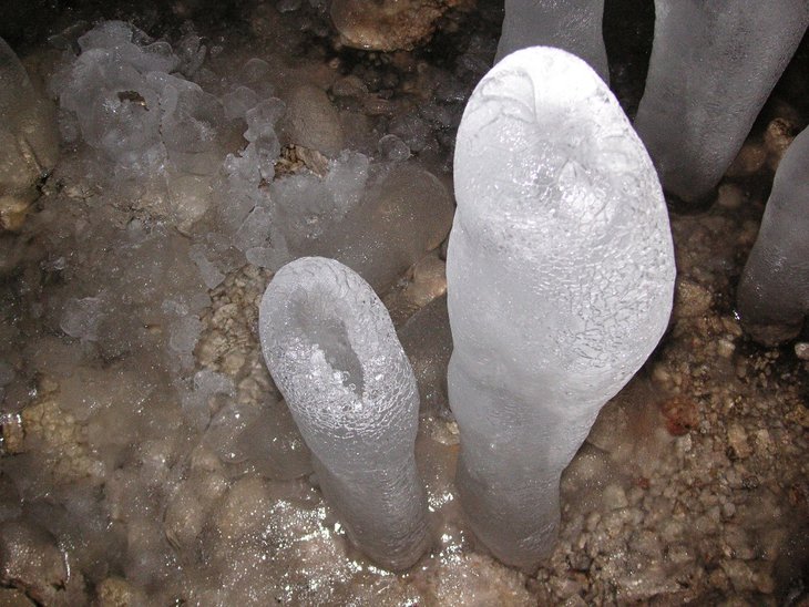 PICT0295.jpg