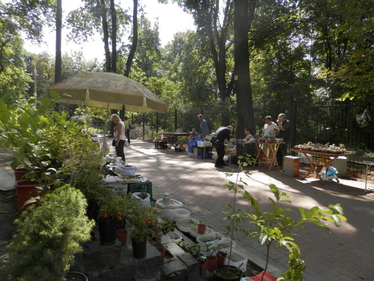 P8210201.jpg