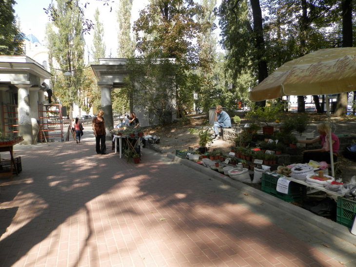 P8210221.jpg