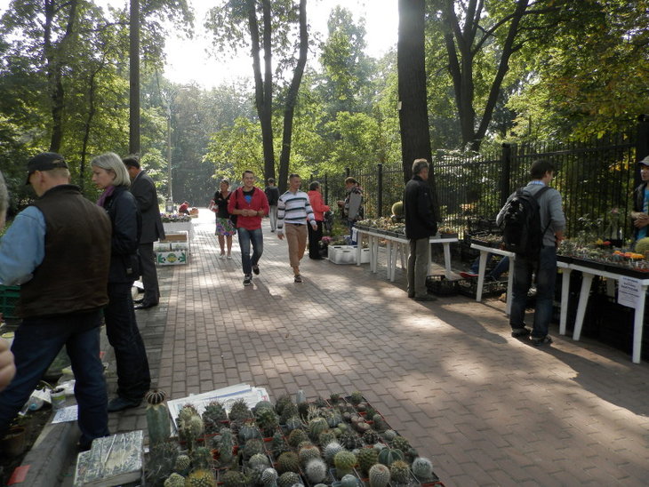 P9100393.jpg