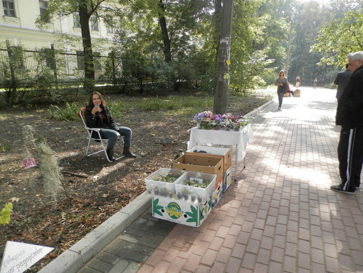 P9100397.jpg