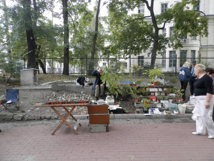 P9100423.jpg