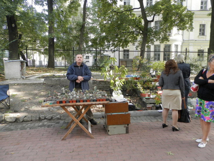 P9100396.jpg