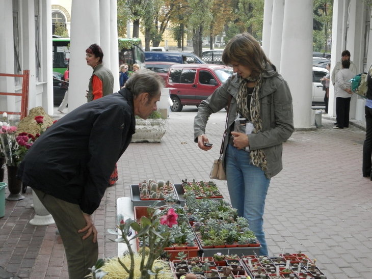 P9100426.jpg