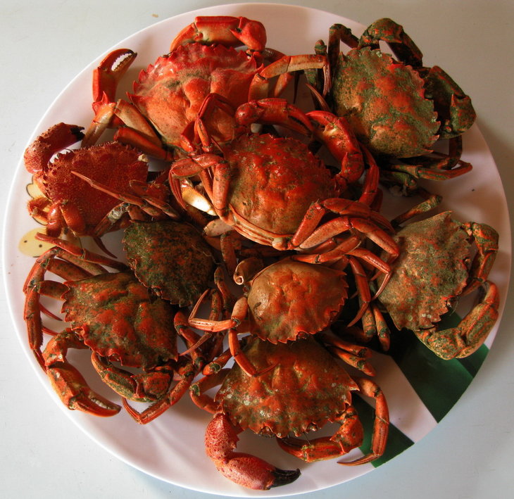 Каменные крабы