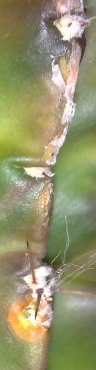 28092013579.jpg