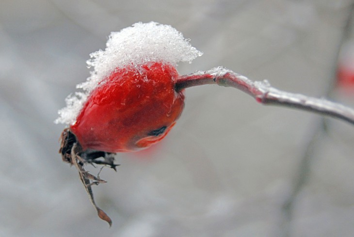 DSC_0021c.jpg