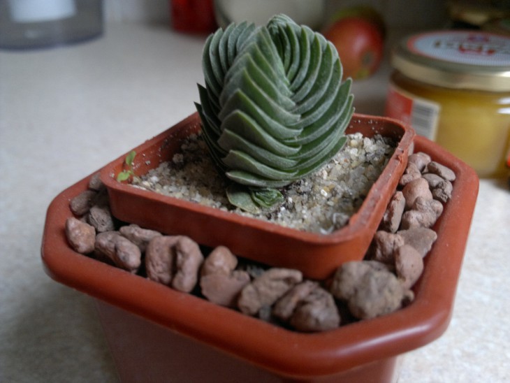 2013-10-03-141.jpg