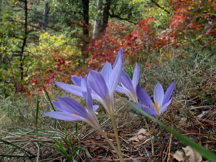 P9298655_.jpg