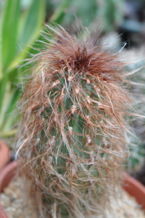 DSC_0154.jpg