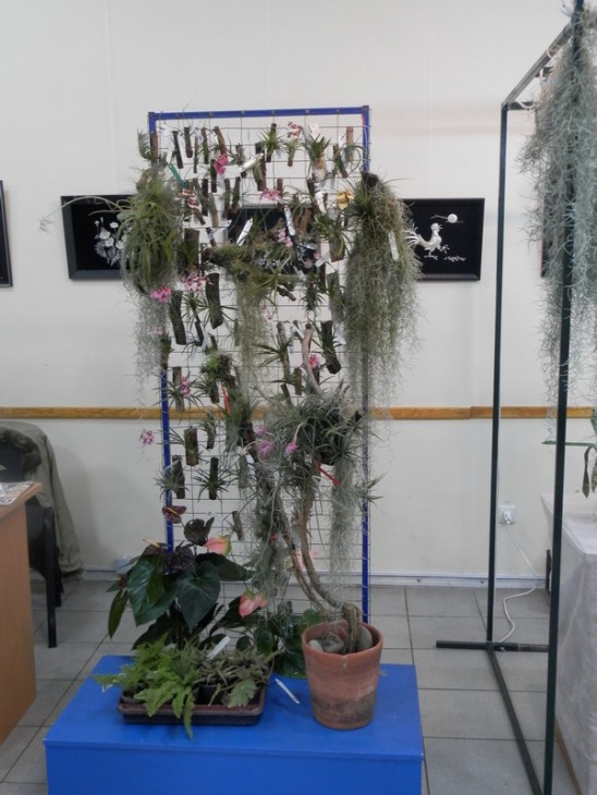 PA310669.JPG