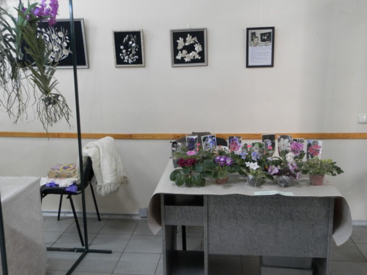 PA310677.JPG