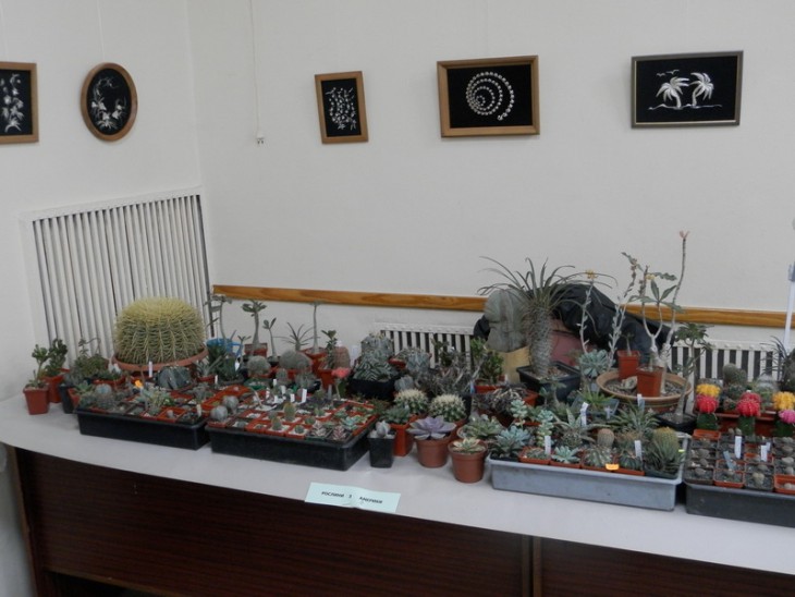 PA310681.JPG