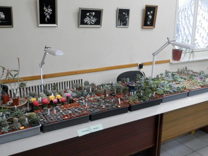 PA310682.JPG