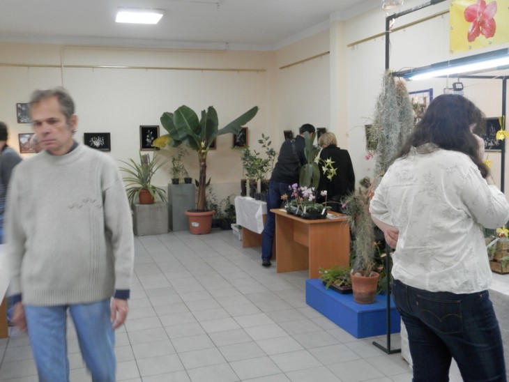 PA310690.JPG