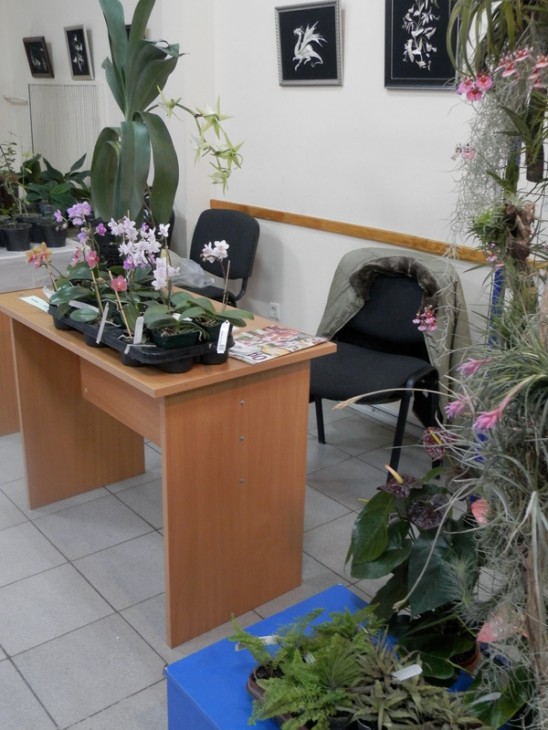 PA310692.JPG