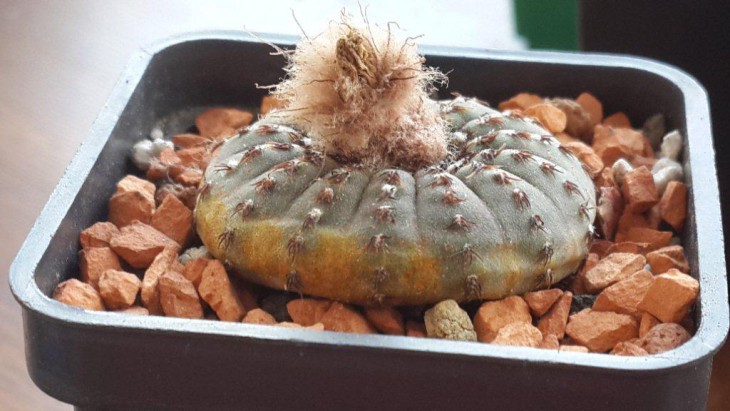 20131110_114114.jpg