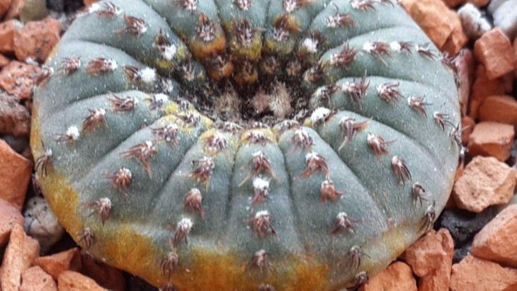 20131110_114256.jpg