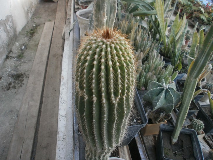 1.