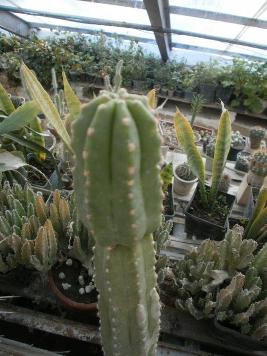 8.