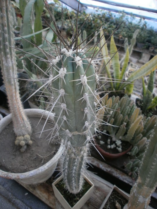 9.