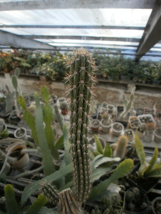 10.