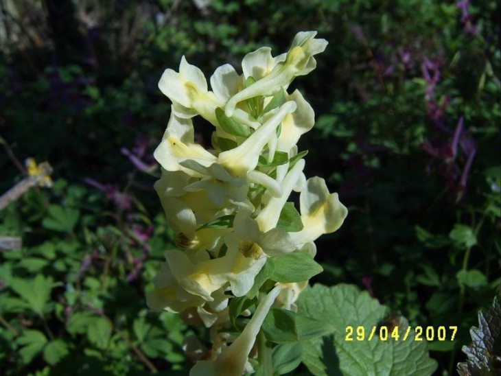 2007_14.JPG